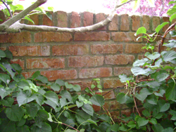 Voorbeeld van oude stenen, ca. 1910, verwerkt in een oude tuinmuur.